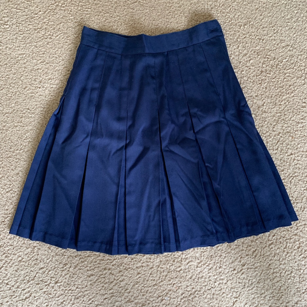 Navy Blue Pleated Skirt